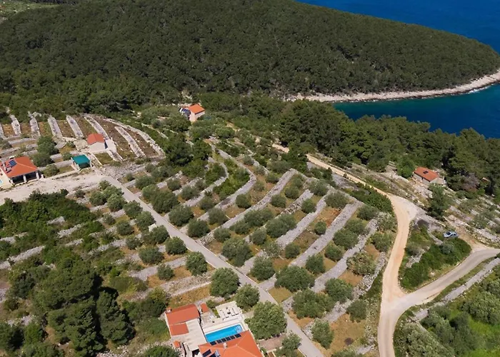 Ivona By Guide * Vela Luka